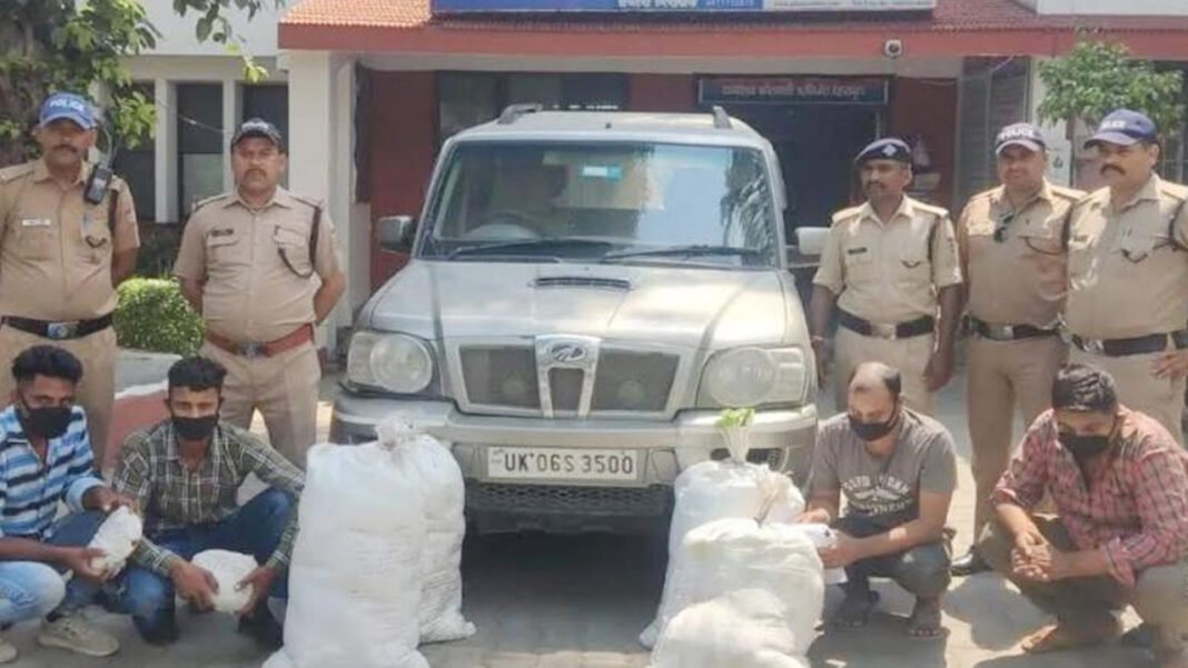 Four drug smugglers caught with hemp and raw liquor
