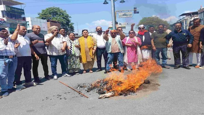 Congress burnt the effigy of BJP government