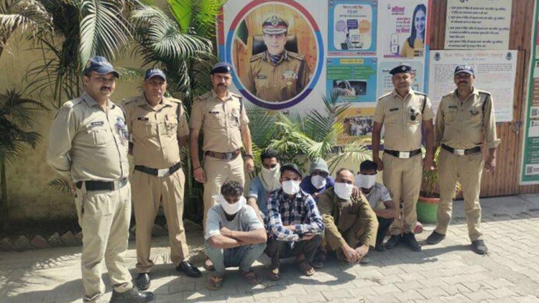 Six arrested for butchering a protected animal