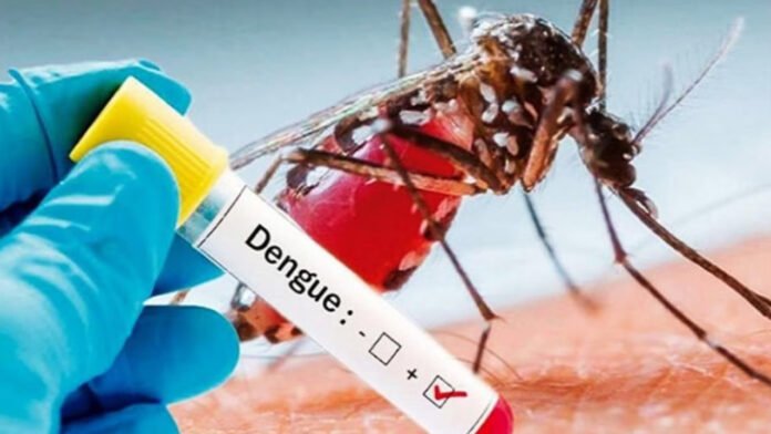 Health department in active mode regarding dengue infection