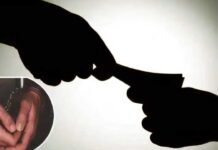 15 हजार रुपए की रिश्वत लेते अमीन गिरफ्तार Amin arrested while taking bribe of 15 thousand rupees