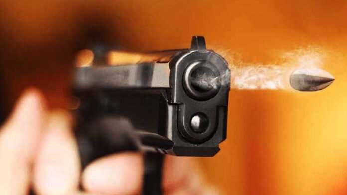 Cafe owner shot dead