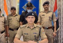 Cyber ​​fraud mastermind arrested