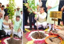 हरेला हमारी संस्कृति और चेतना का पर्व : सीएम धामी Harela is festival of our culture and consciousness