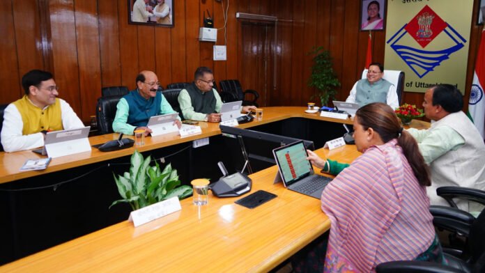 12 proposals approved in cabinet meeting