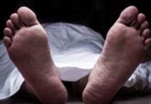 सिर कुचलकर वृद्ध की निर्मम हत्या Brutal murder of an old man by crushing his head