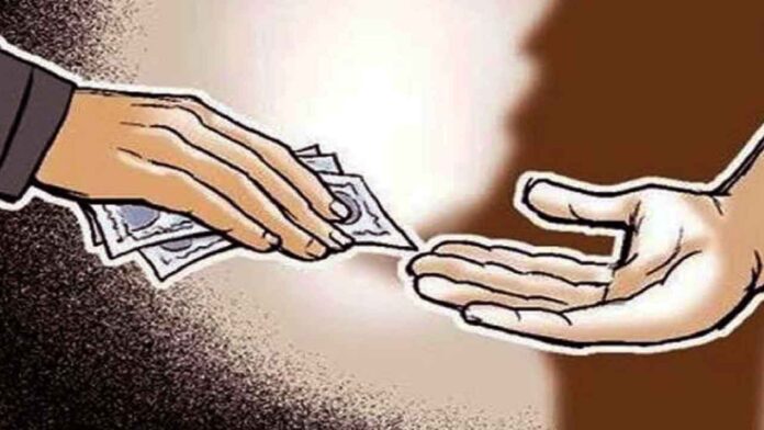 Bribe Corrupt doctor caught in vigilance net