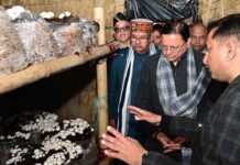 मुख्यमंत्री धामी ने किया विकसित ‘मशरूम ग्राम’ परियोजना का शुभारंभ CM Dhami launched 'Mushroom Village' project