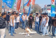 यूथ कांग्रेस के अध्यक्ष की गिरफ्तारी के विरोध में एनएसयूआई ने किया शर्टलेस प्रदर्शन NSUI staged a shirtless protest