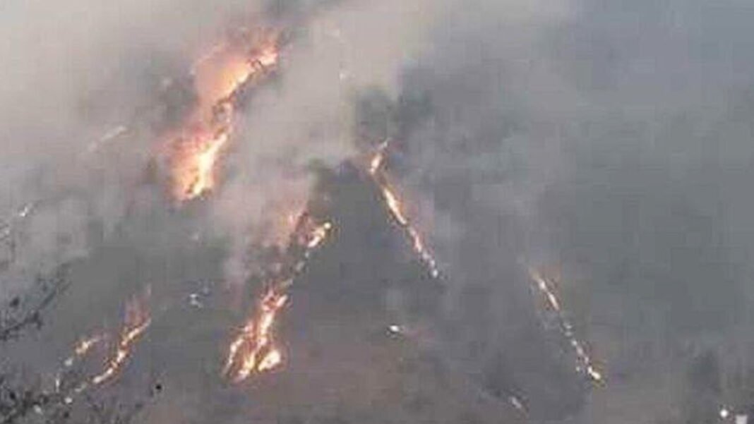 A massive fire broke out in forests of Tharali
