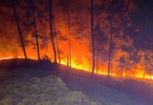 बढ़ती गर्मी के साथ विकराल रूप धारण करने लगी जंगलों की आग The forest fires have begun to take on a ferocious form