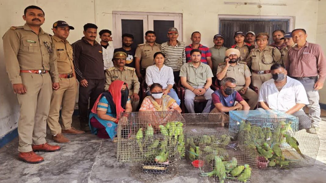 Two Men and Two Women Arrested with Parrots
