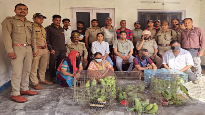 Two Men and Two Women Arrested with Parrots