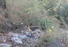 देहरादून-मसूरी मार्ग पर खाई में गिरा ट्रक, चालक की मौत, हेल्पर गंभीर Truck fell into ditch on Dehradun-Mussoorie road