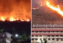 केंद्रीय संस्कृत विश्वविद्यालय परिसर तक पहुंची जंगल की आग Forest fire reaches Central Sanskrit University campus