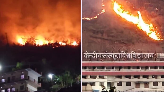 Sanskrit-University Forest fire reaches Central Sanskrit University campus