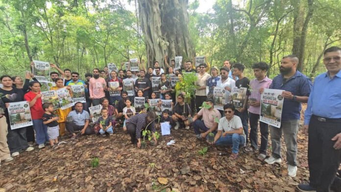 3000 trees will no longer be cut down
