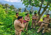 बीएलओ की आत्महत्या मामले में एसआईआर के काम के दबाव में जान देने की बात आई सामने Work pressure on SIR in the BLO suicide case